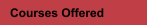 Courses Offered