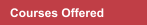 Courses Offered